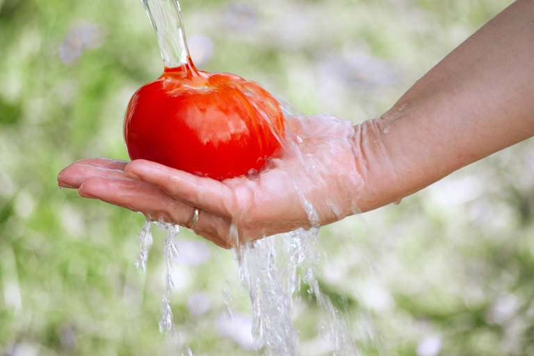 Jak nawozić i pielęgnować pomidory