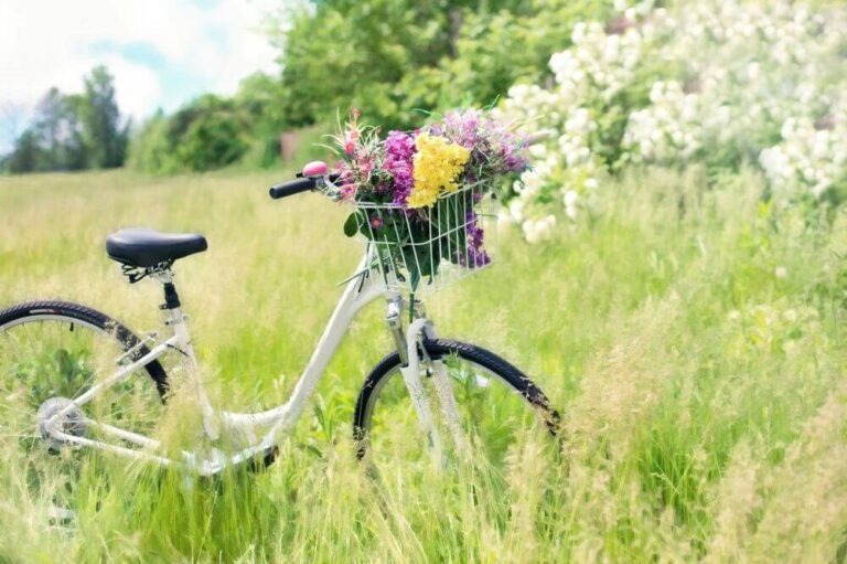 rower na wieś