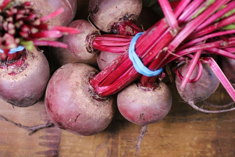 Jakie Rośliny Zaliczamy Do Roślin Okopowych Wymień Trzy Rośliny Rośliny okopowe - uprawa, charakterystyka, przykłady | Agropedia