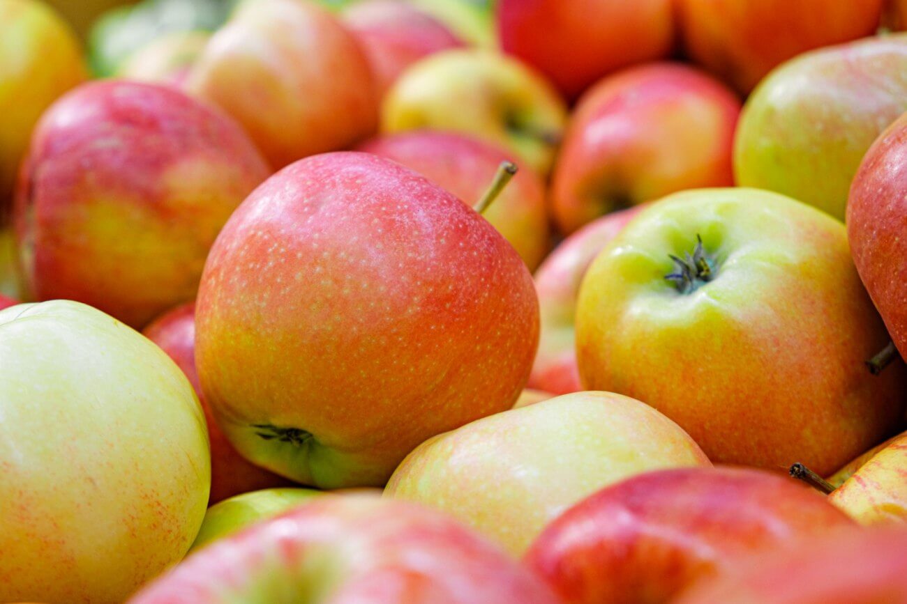 Jonagold jabłoń jak wygląda uprawa drzewka owocowego?