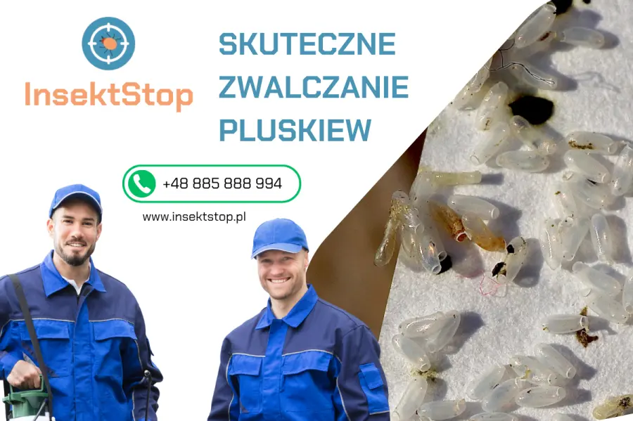 insektstop.pl dezynsekcja